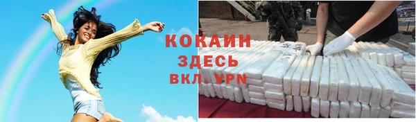 тгк Алексин