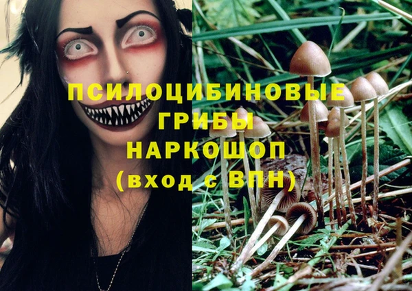 а пвп мука Абаза