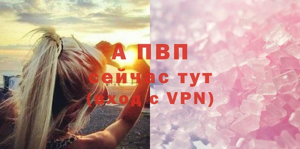амф Приозерск